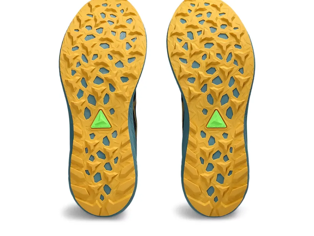 FUJI LITE™|Trail running>ASICS FUJILITE 4 Black/Honey