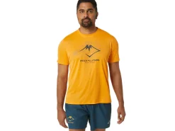 Kleding|Trail running>ASICS FUJITRAIL LOGO SS TOP Fellow Yellow/Lichen Green/Graphite Grey
