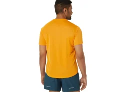 Kleding|Trail running>ASICS FUJITRAIL LOGO SS TOP Fellow Yellow/Lichen Green/Graphite Grey