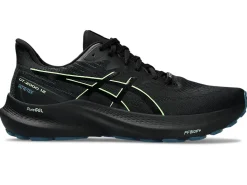 GT-2000™|Hardloopschoenen>ASICS GT-2000 12 GTX Black/Illuminate Green
