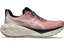NOVABLAST™|Run faster>ASICS NOVABLAST 4 TR Nature Bathing/Rose Rouge